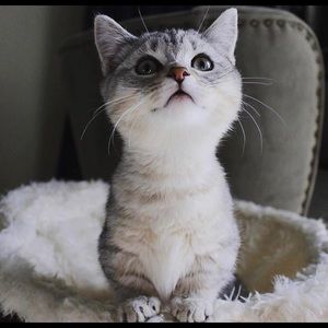 Meet your Posher, Esmeralda